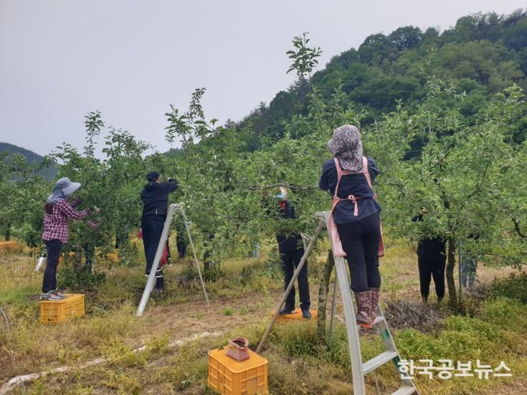 기사 사진