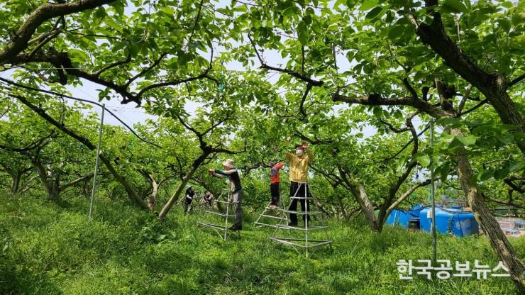 기사 사진