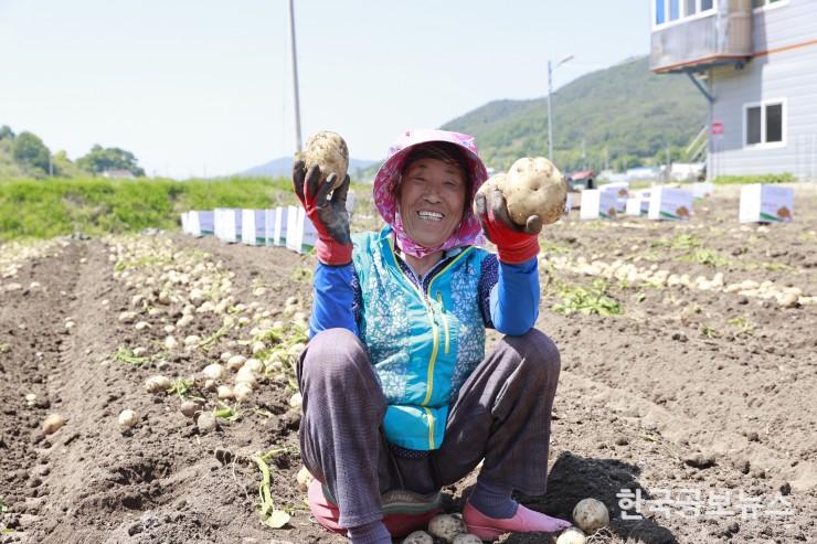 기사 사진