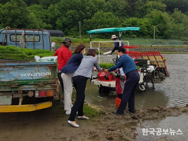 기사 사진