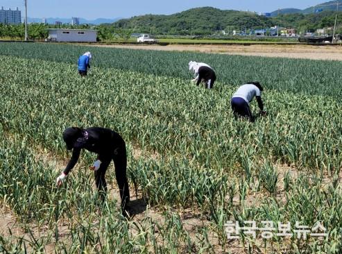 기사 사진