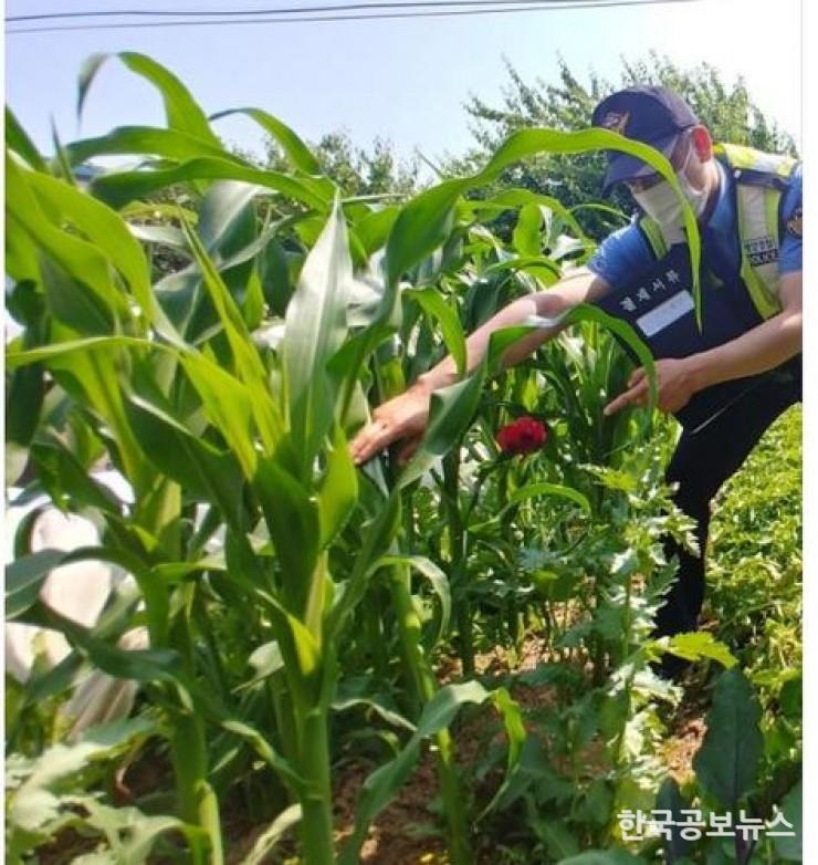 기사 사진