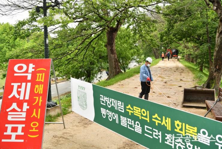 기사 사진