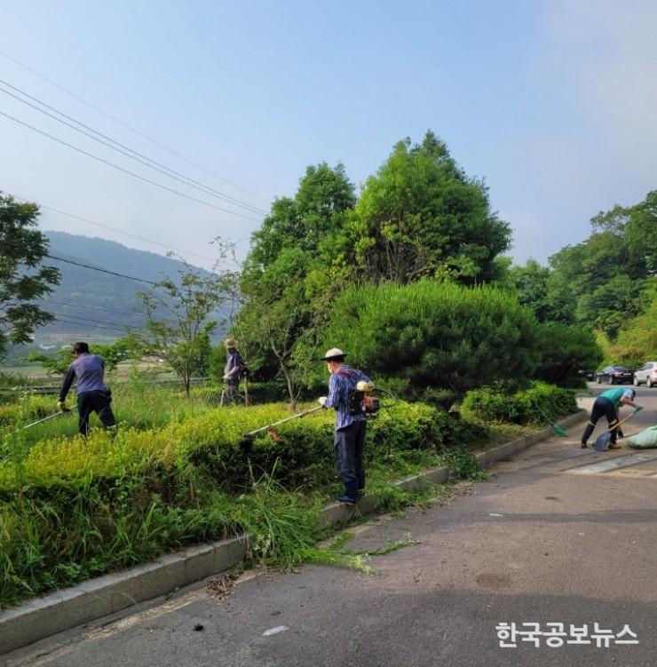 기사 사진