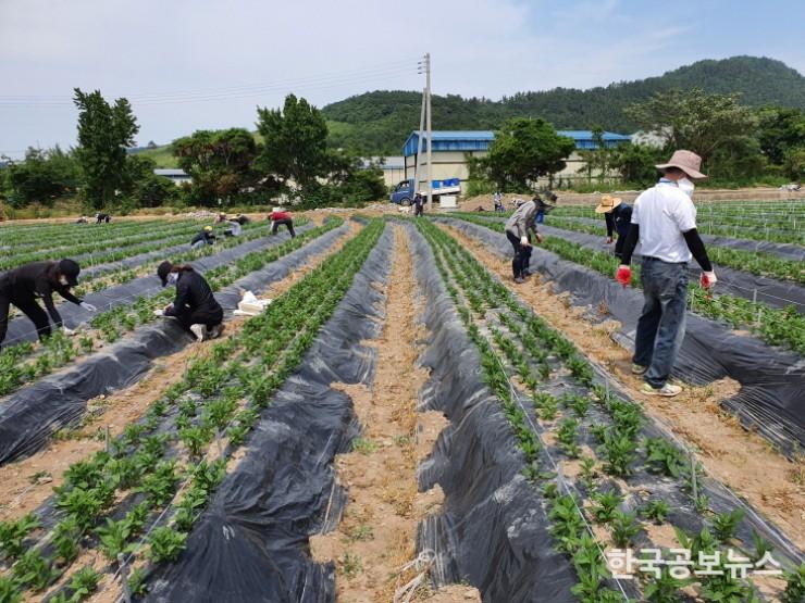 기사 사진