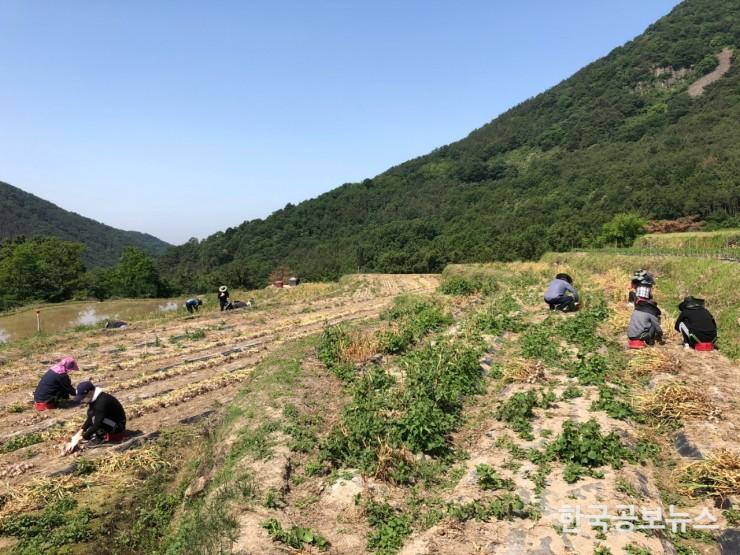 기사 사진