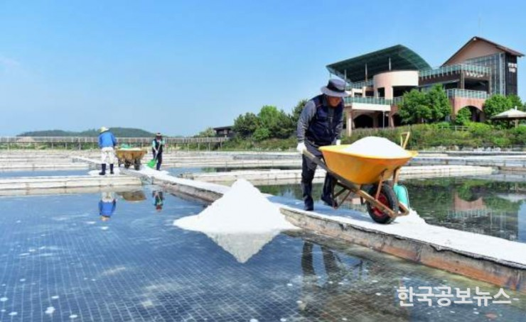 기사이미지 https://kpnnews.cdn.ntruss.com/202405210657201716285440579