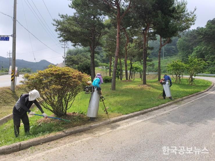 기사 사진