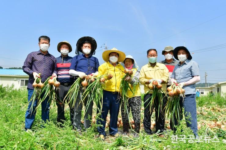 기사 사진