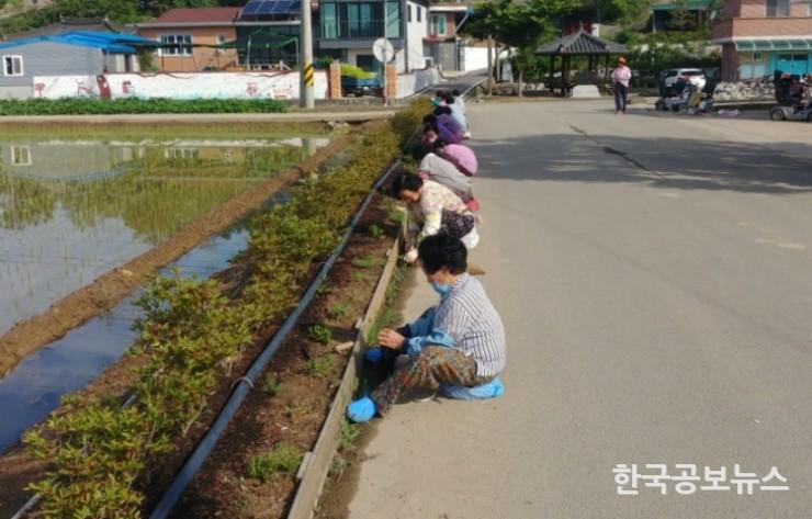 기사 사진