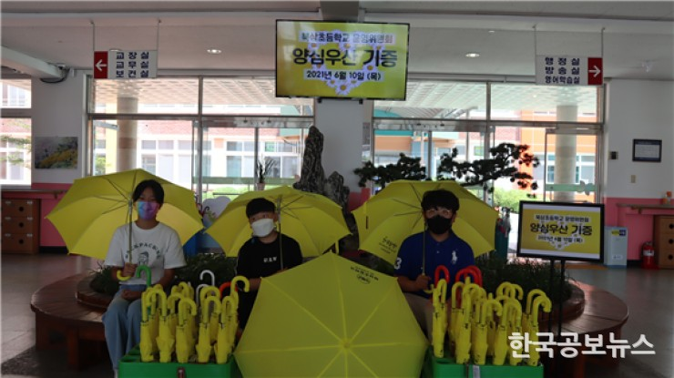 기사이미지 https://kpnnews.cdn.ntruss.com/202405210917401716293860834