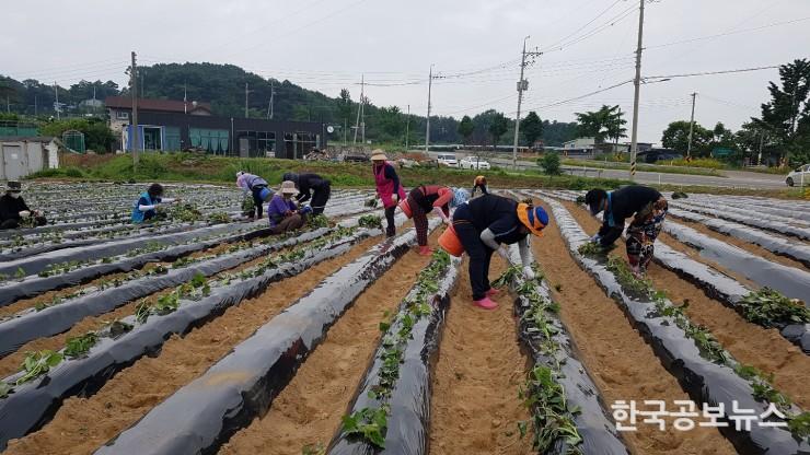 기사 사진
