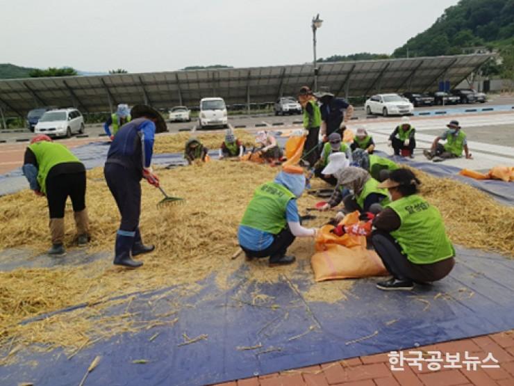 기사 사진