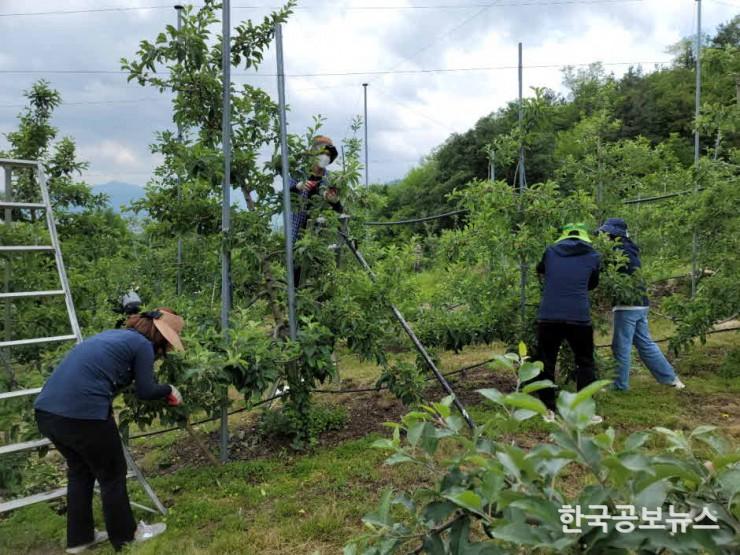기사 사진
