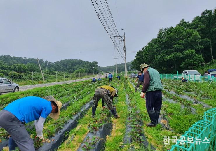 기사 사진