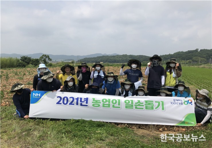 기사 사진