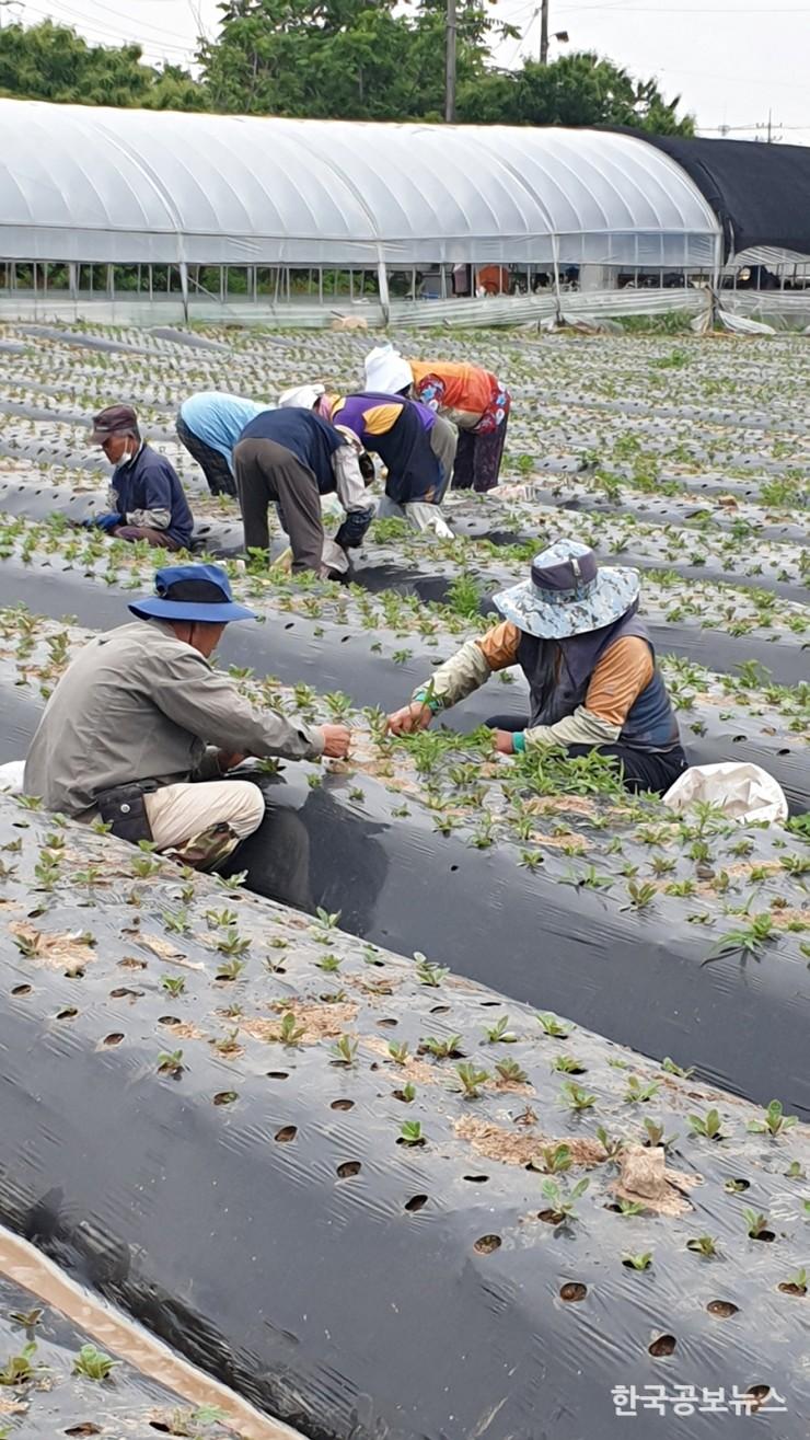 기사 사진