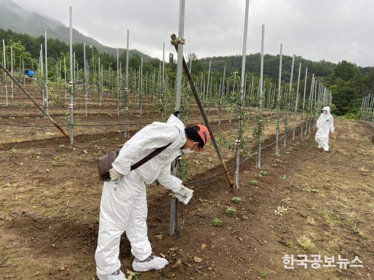 기사 사진