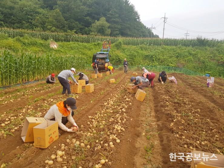 기사 사진