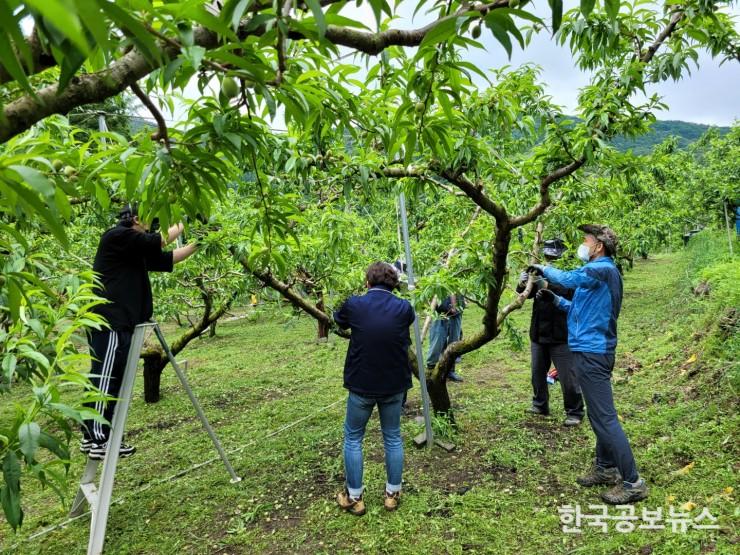 기사 사진