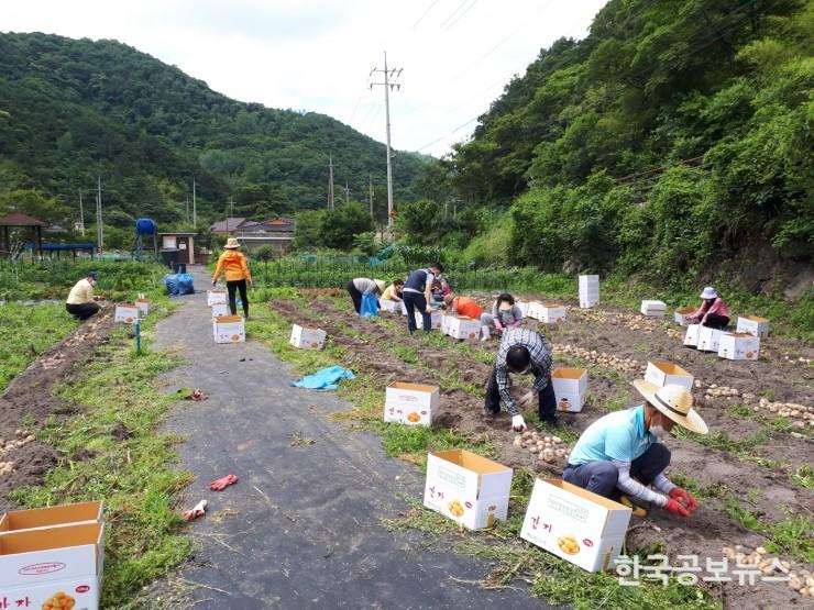 기사 사진