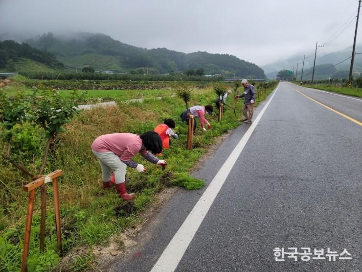 기사 사진