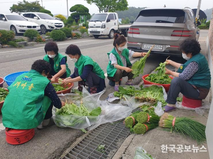 기사 사진