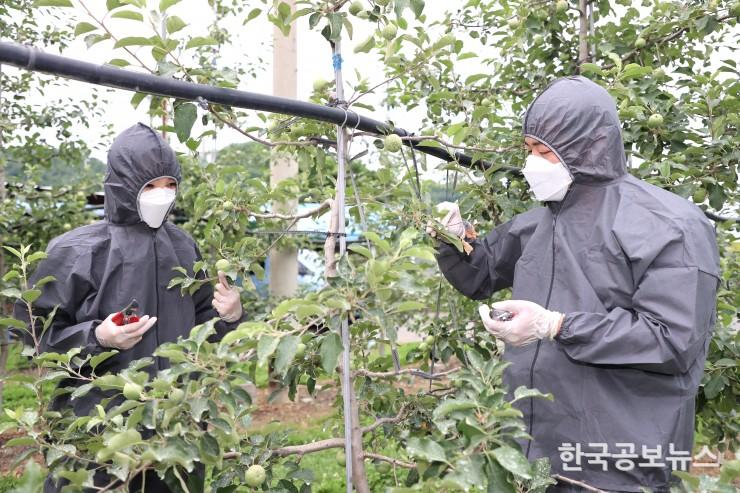 기사 사진