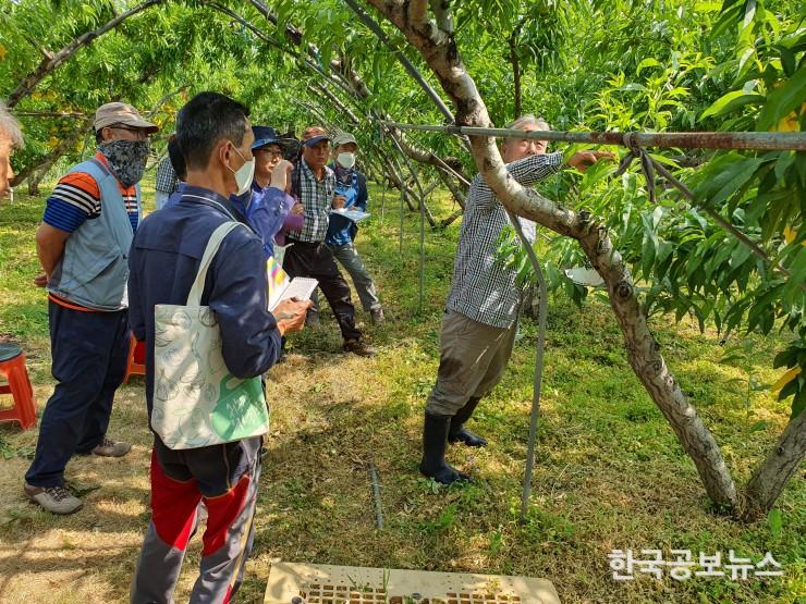 기사 사진