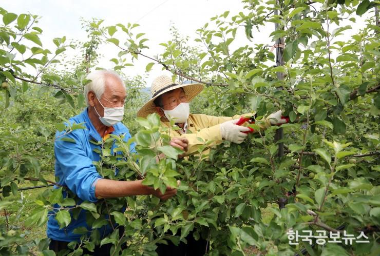 기사 사진