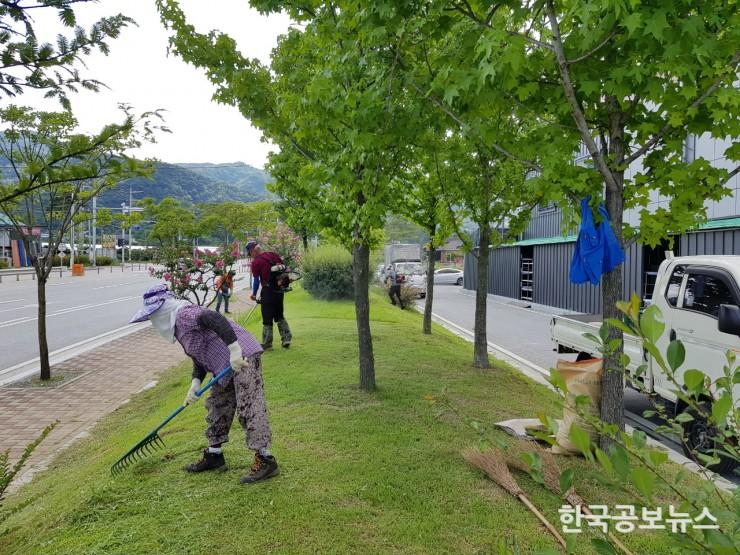 기사 사진
