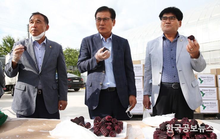 기사 사진