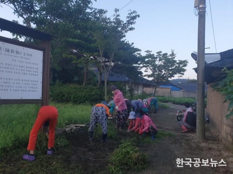 기사 사진