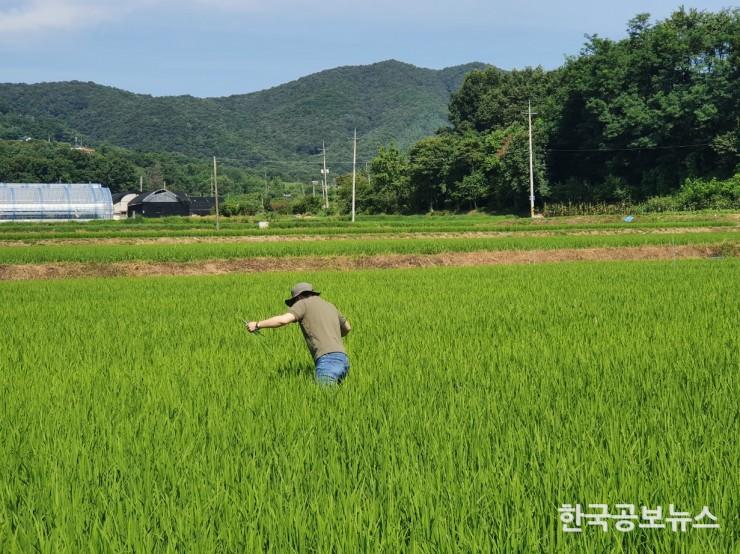 기사 사진