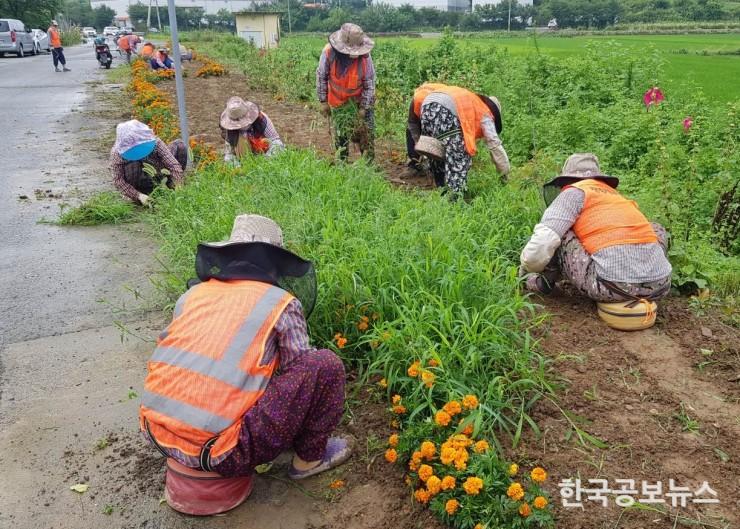 기사 사진