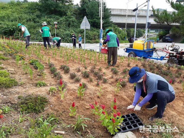 기사 사진