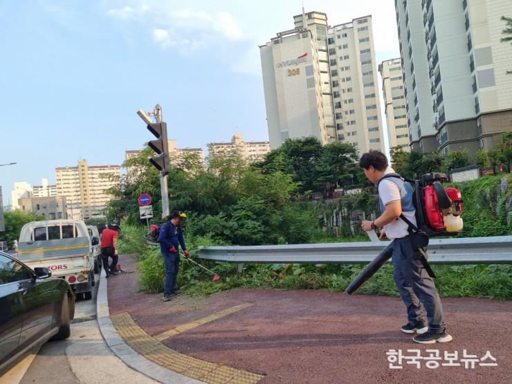 기사 사진