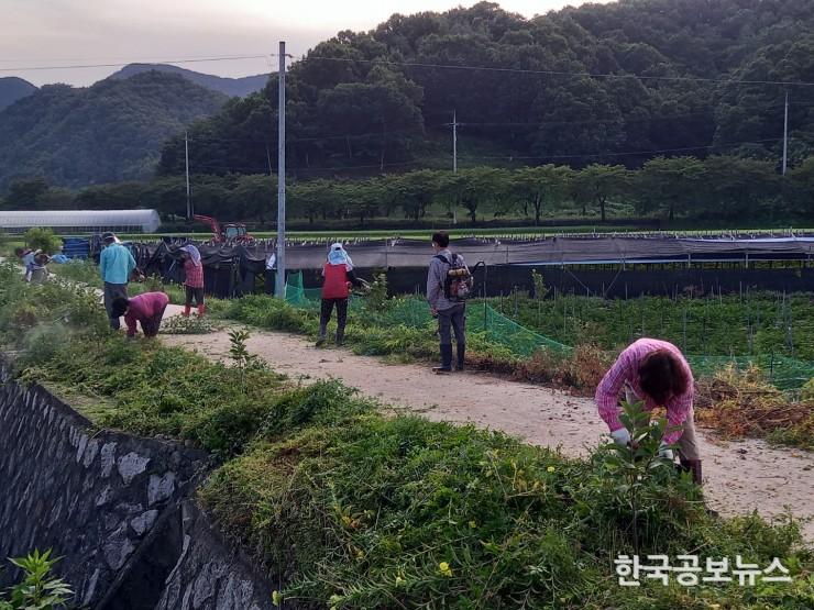 기사 사진