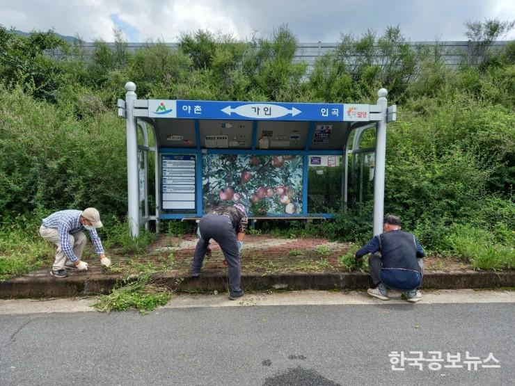 기사 사진