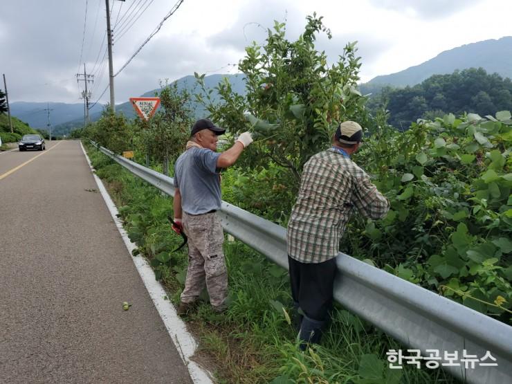 기사 사진