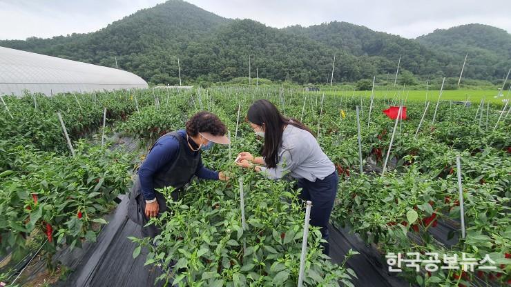기사 사진