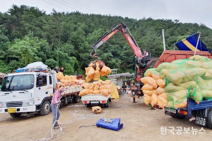 기사 사진