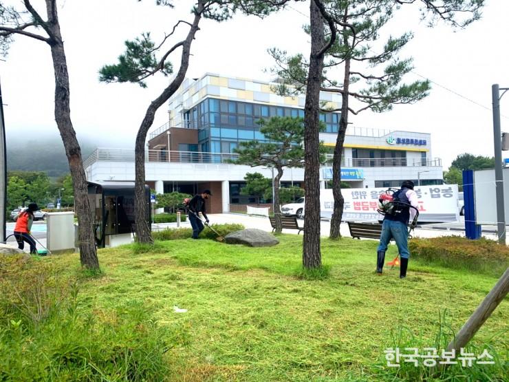 기사 사진