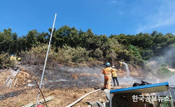 기사 사진