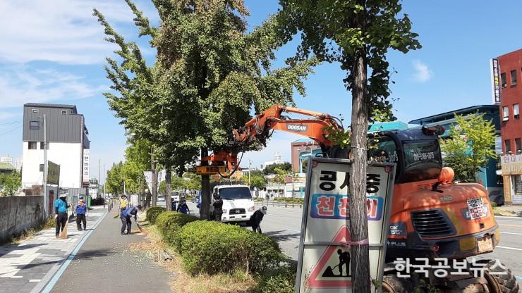 기사 사진