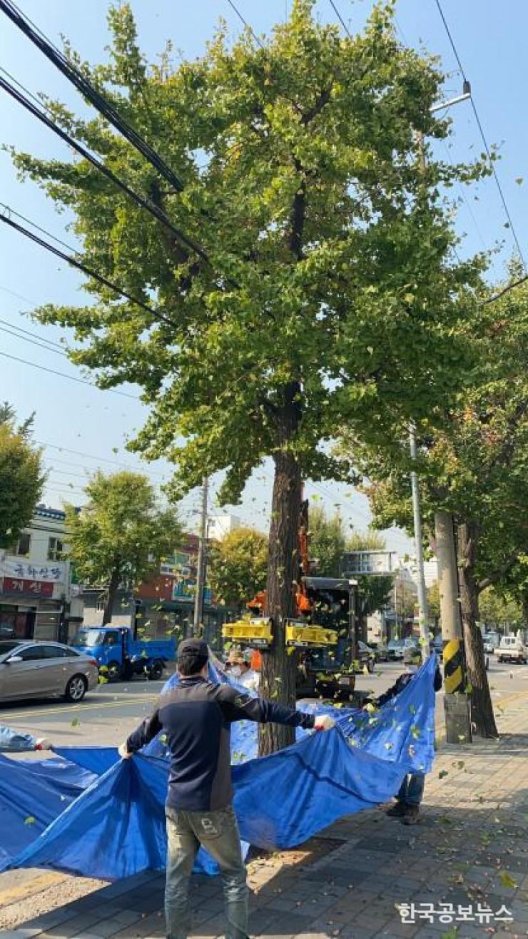 기사 사진