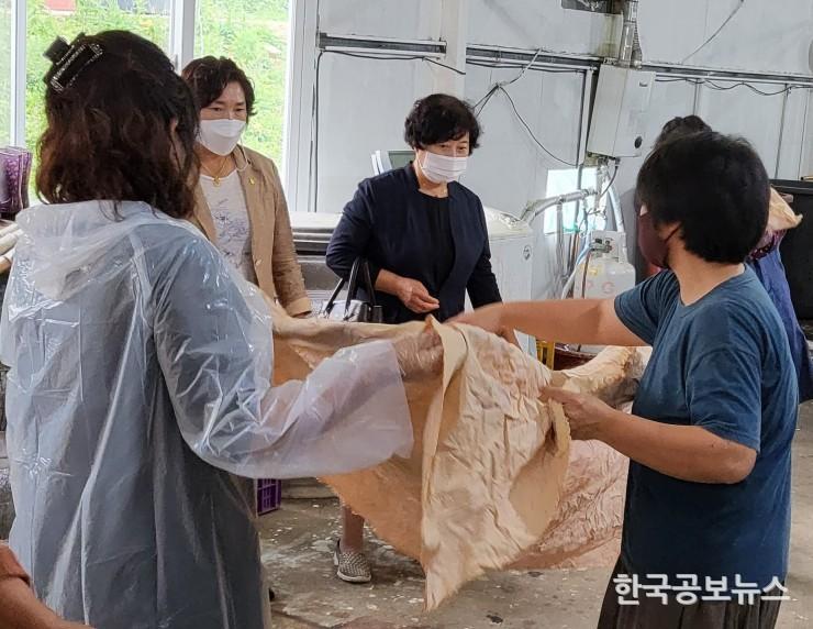 기사 사진