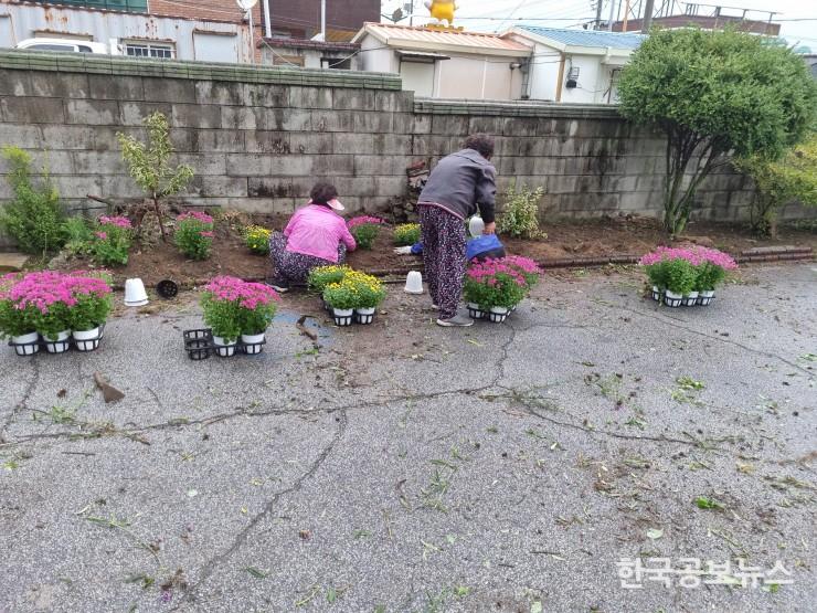 기사 사진