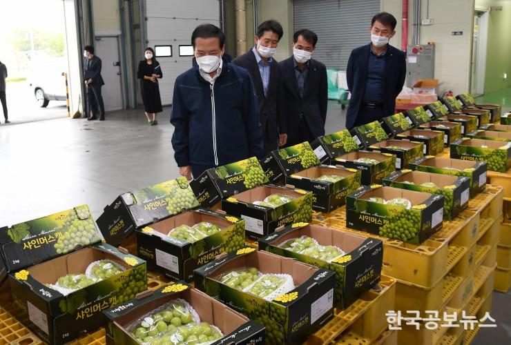 기사 사진