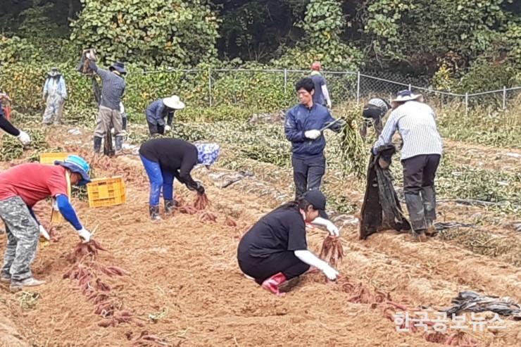 기사 사진